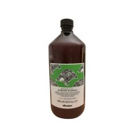 Davines Natural Tech Champú Renovador 1000ml