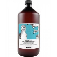 Davines Naturaltech Well-Being Shampoo 1000ml